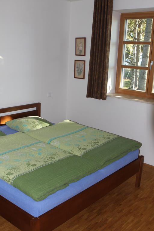 Horsky Apartman Zvonicka Рейвиз Номер фото